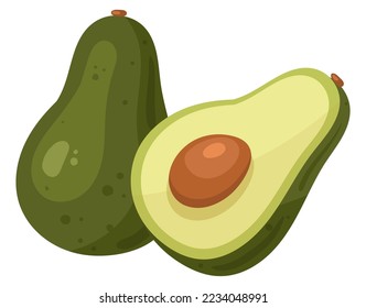 Cartoon avocado fruit. Fresh raw tasty avocado, whole fruit and half flat vector illustration on white background
