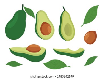 El aguacate de la caricatura. aguacates maduros, alimentos orgánicos sanos y nutritivos y rodajas de aguacate.
Vocado verde, comida dietética. Conjunto de ilustraciones vectoriales.