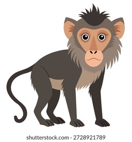 Ilustración vectorial del mono del bebé del babuino de la historieta en el fondo blanco