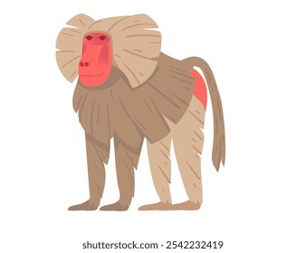 Cartoon baboon standing upright with red face and detailed fur features. Suitable for nature-themed designs, wildlife education, or zoological illustrations. Vector illustration.