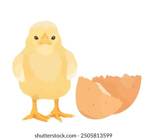 Pollo bebé de dibujos animados, gallina con huevo, pollito divertido. Ilustración vectorial de aves de corral de granja de Vector.