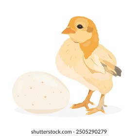 Pollo bebé de dibujos animados, gallina con huevos, pollitos divertidos. Conjunto de Vector de aves de corral de granja de Vector.