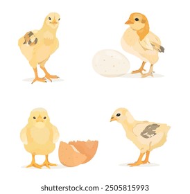 Pollo bebé de dibujos animados, gallina con huevos, pollitos divertidos. Conjunto de Vector de aves de corral de granja de Vector.