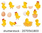 Cartoon baby chickens, easter cute little chicks. Funny newborn chicken in eggshell, chick hatching from egg, farm bird animal vector set. Cute yellow character on nest, eating seed