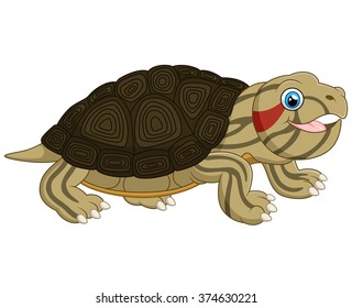 Cartoon baby cute turtle