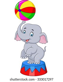 Cartoon baby elephant circus isolated on white background 