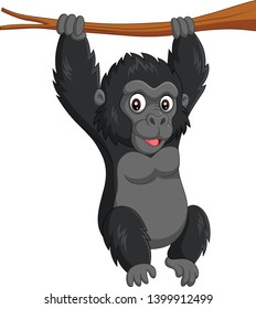 64 Small From Gorilla Hanging Tree Images, Stock Photos & Vectors |  Shutterstock