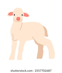 Cartoon baby lamb vector illustration