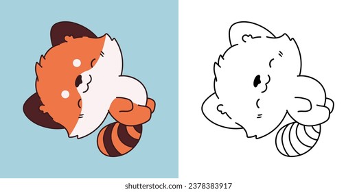 Caricatura: Red Panda Clipart de Baby para Coloring Page e Illustration. Imágenes prediseñadas de animales bebés aislados. Ilustración vectorial de un animal kawaii para impresiones de ropa, pegatinas, ducha para bebés. 