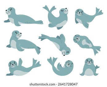 Cartoon baby seal. Funny arctic water mammals, adorable fur seals in different poses. Children mascots, isolated ocean animals classy vector characters