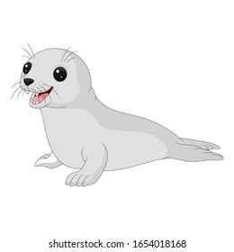 Cartoon baby seal on white background