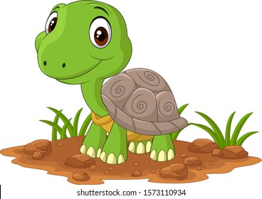 Cartoon baby turtle in the field