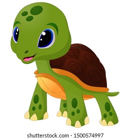 Cartoon baby turtle on white background