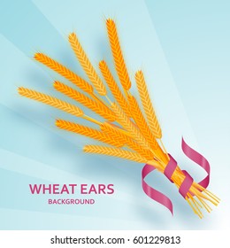 Cartoon background with wheat ears and ribbons.  Colorful vector illustration.  