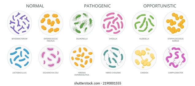 Cartoon bacteria, biological microorganism, good and bad microbiota. Microbes and bacteria, normal flora microorganism flat vector illustration set. Good and bad bacteria collection svg