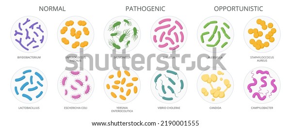Cartoon bacteria, biological microorganism,\
good and bad microbiota. Microbes and bacteria, normal flora\
microorganism flat vector illustration set. Good and bad bacteria\
collection