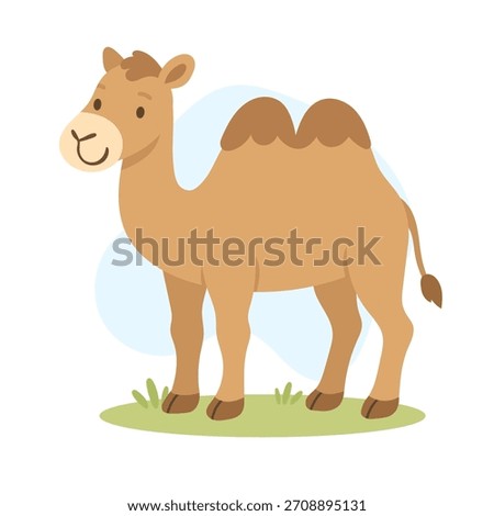 Cartoon bactriancamel vector illustration. Cute camel isolated on white background