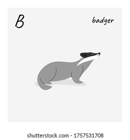 Cartoon badger, cute character for children. Vector illustration in cartoon style. Animal alphabet - letter B.