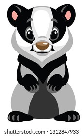 cartoon badger standing on two legs .Front view . Isolated vector illustration for baby and little kid