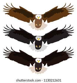 Cartoon bald American eagle mascot swooping with claws out and wings outstretched.
