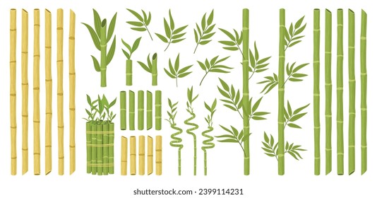 Caricatura de bambú. Plantas forestales asiáticas con ramas y hojas, brotes de bambú verde, conjunto de ilustraciones vectoriales planas de flora china o japonesa. Colección de plantas de bambú