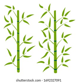 Cartoon bamboo forest. Tropical floral element for design.  Nature. Rainforest in Asia. Vector illustration.  