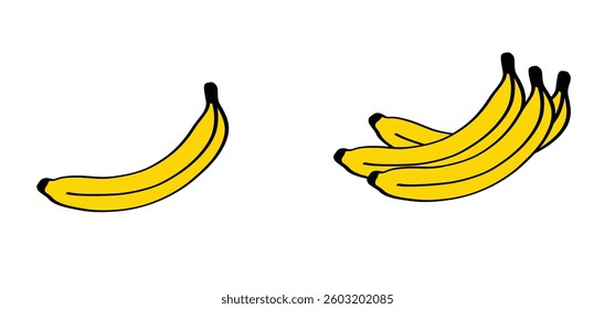 Cartoon banana or bananas. Bunch banana. A banana is an elongated, slightly curved fruit that comes from the banana plant. Bananas are high in fiber, potassium and starch.