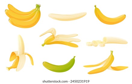 Banana de dibujos animados. Manojo, fruta tropical entera y rebanadas. Piel amarilla. Maduro e inmaduro. Basura orgánica. Resbalando sobre la cáscara. Producto dietético. Reciclando basura. Planta