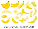 Cartoon bananas. Fresh isolated banana, cuts slices, in peel and peeled fruit. Exotic vitamin food, tropical vegetarian snack neoteric vector set