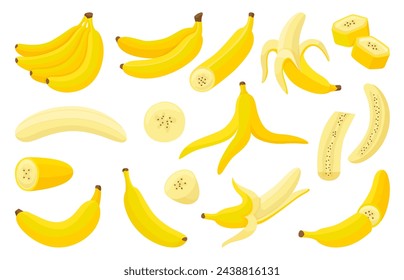 Cartoon bananas. Fresh isolated banana, cuts slices, in peel and peeled fruit. Exotic vitamin food, tropical vegetarian snack neoteric vector set