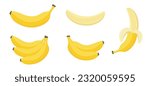 Cartoon bananas. Peel banana, isolated on white background, banana icon vector illustration set