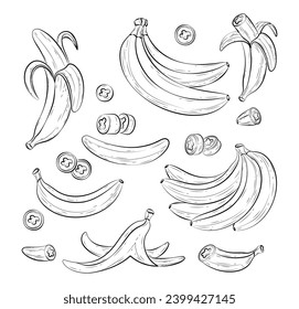 Cartoon bananas set. Vector hand drawn banana icons, half peeled and slice banana snack, bunch of bananas. Yellow tropical fruits. Exotic sweet desserts.Healthy vegan food illustration in doodle style