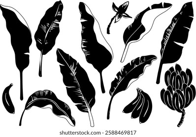 Cartoon bananas set. Vector silhouette banana leaves, bunch of bananas. Yellow tropical fruits and leaves. Exotic sweet desserts. Vector illustration.