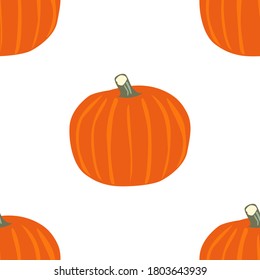 Cartoon banner with flat pumpkin seamless on white background. Holiday art. Fall season. Vegetarian healthy food. Thanksgiving celebration.