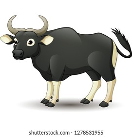 Cartoon Banteng wild cattle 