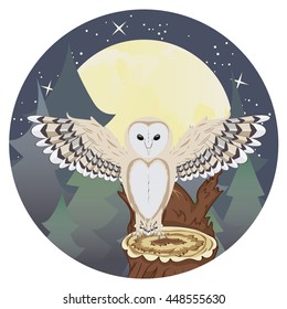 Cartoon barn owl on a tree stump at night.