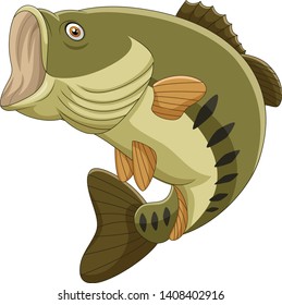 Cartoon bass fish isolated