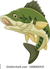Cartoon bass fish isolated on white background