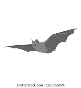 Cartoon bat. Cute Cartoon bat, Vector illustration on a white background. Drawing for children.