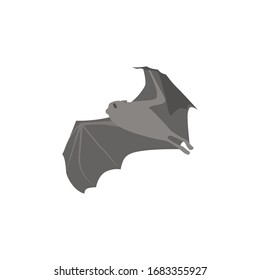 Cartoon bat. Cute Cartoon bat, Vector illustration on a white background. Drawing for children.