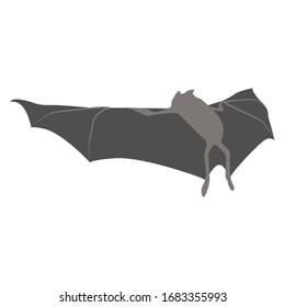Cartoon bat. Cute Cartoon bat, Vector illustration on a white background. Drawing for children.