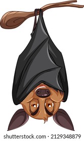 Cartoon bat hanging on white background illustration