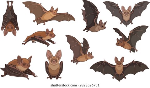Cartoon bat vector set featuring cute brown bats hanging upside down, flying with open wings, crawling, and resting on white background.