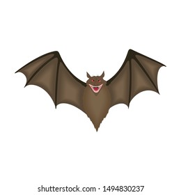 Cartoon Bats isolated on white background