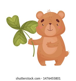 Cartoon bear with clover. Vector illustration on white background.