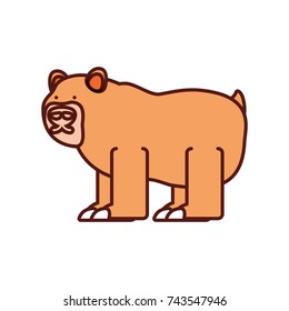 cartoon bear icon