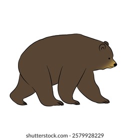 Cartoon bear, bear icon isolated on white background, vector illustration.