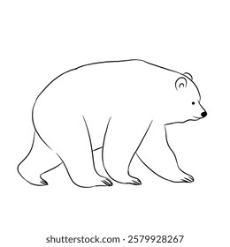 Cartoon bear, bear icon isolated on white background, vector illustration. Line art.