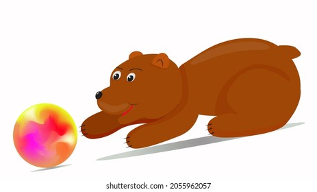 A cartoon bear is playing with a rainbow ball. Brown bear character, bright sphere. Vector isolated on a white background