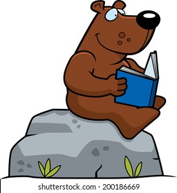 A cartoon bear reading a book on a rock.